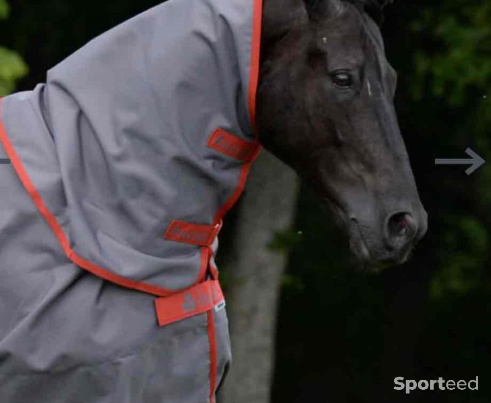Equitation - Couverture impermeable bucas + couvre cou - photo 3