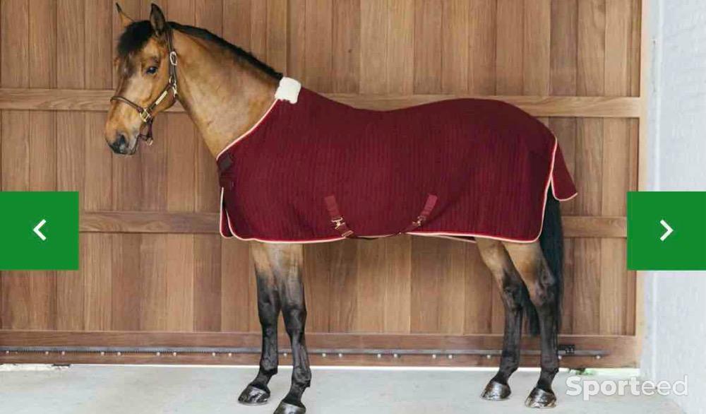 Equitation - Couverture séchante Kentucky - photo 1