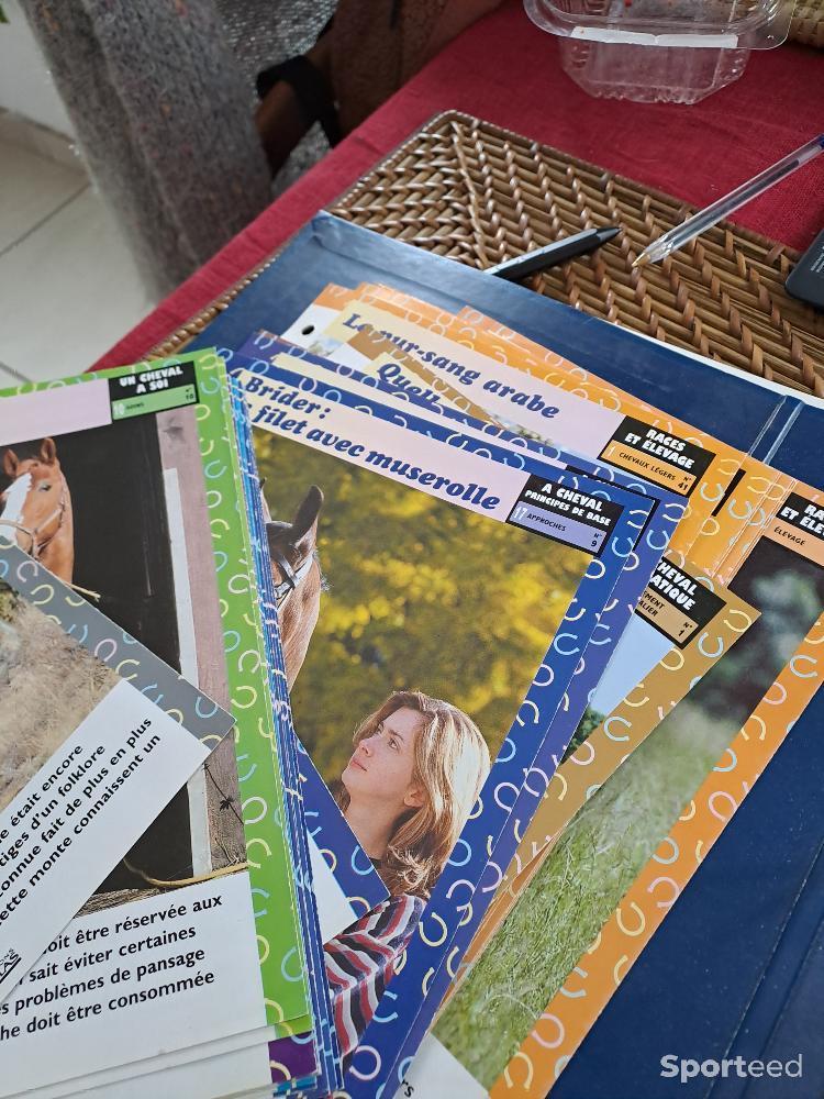 Equitation - Fiches equitation  - photo 1