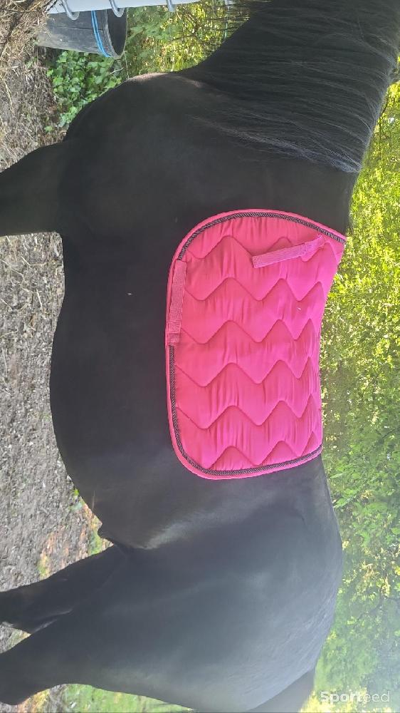 Equitation - Tapis equitheme - photo 1