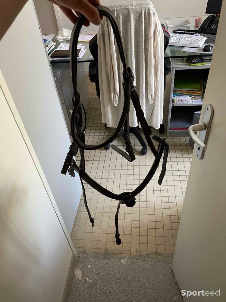 Equitation - Filet  - photo 1