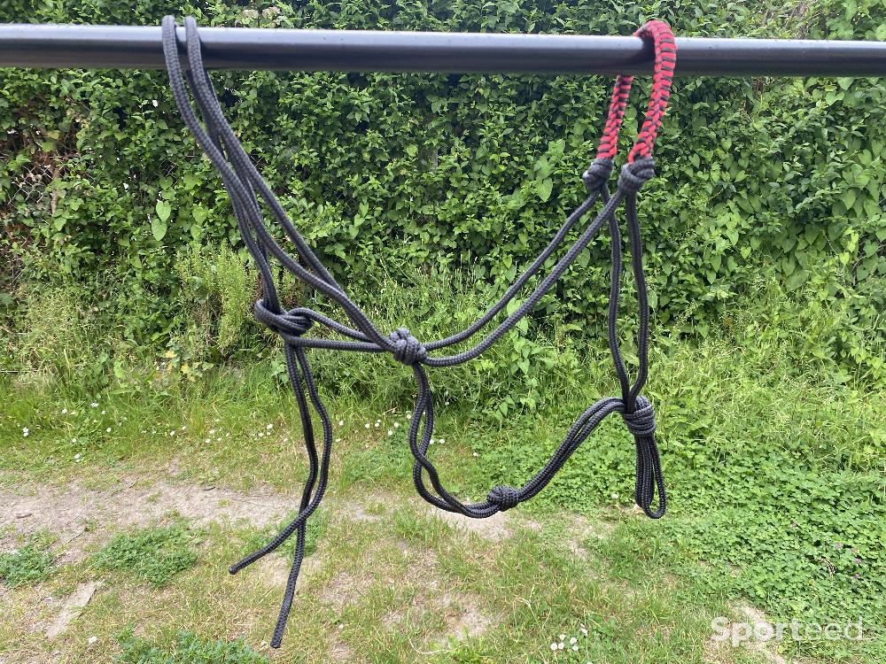 Equitation - Licol éthologique noir et rouge - photo 1