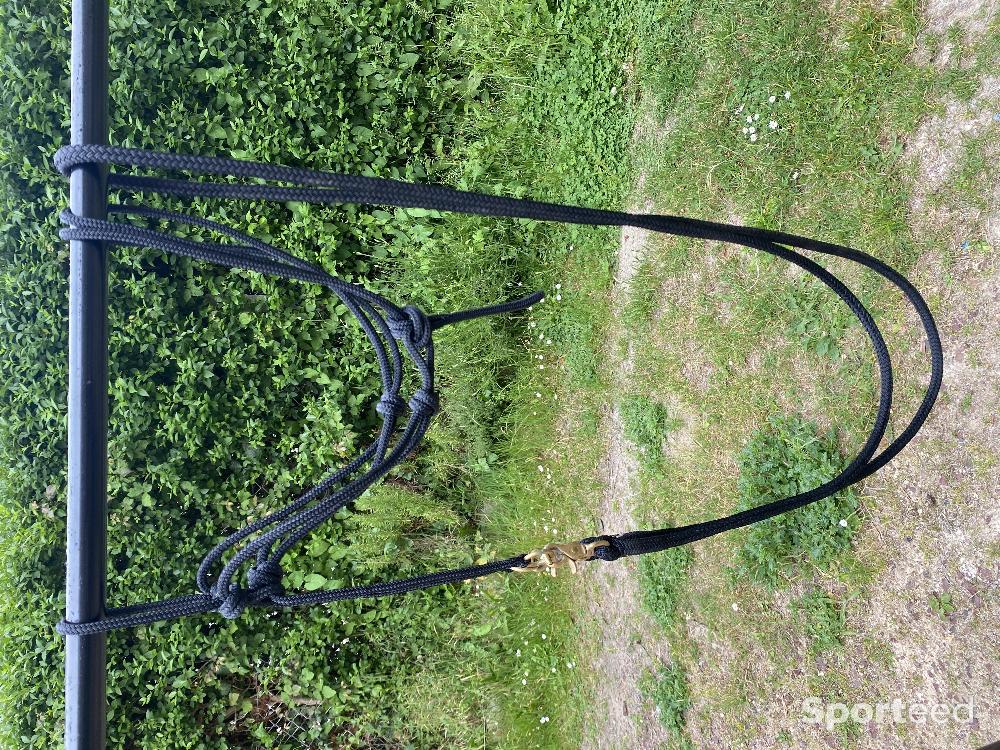 Equitation - Licol et rênes de monte éthologique cob - photo 1