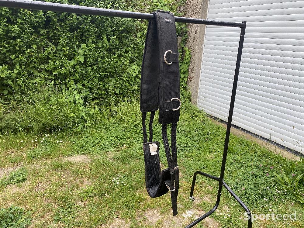 Equitation - Surfaix - photo 1