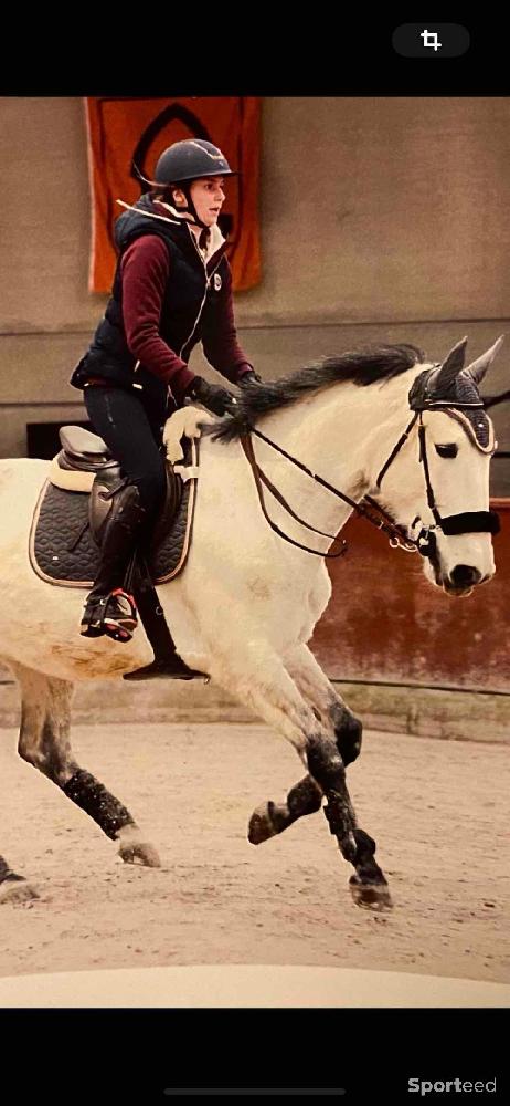 Equitation - Ensemble tapis bonnet gris rose gold - photo 1