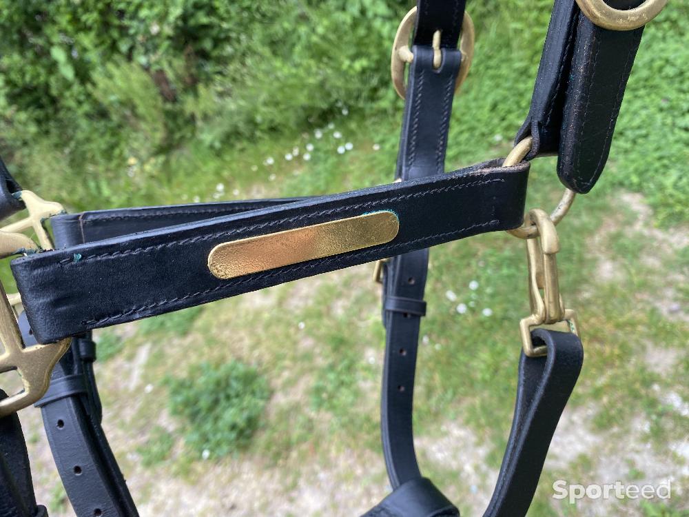 Equitation - Licol cuir cob - photo 3