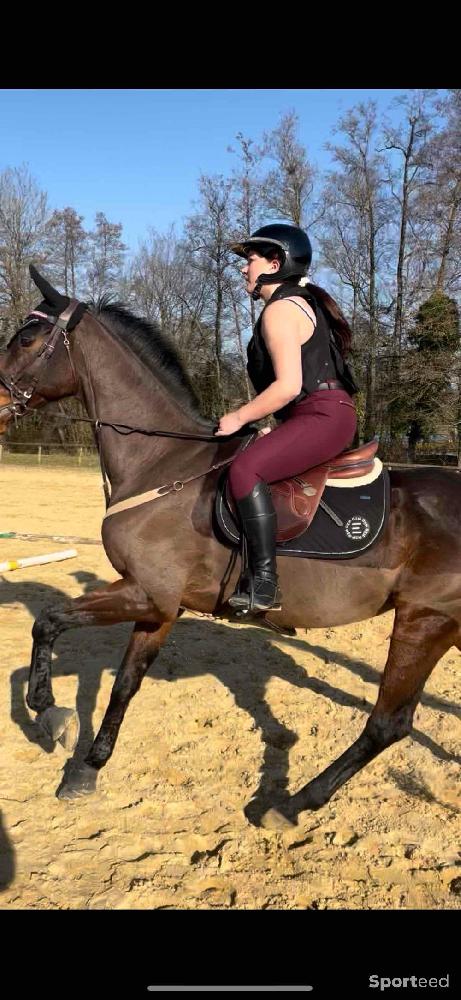 Equitation - Tapis gem sony - photo 2