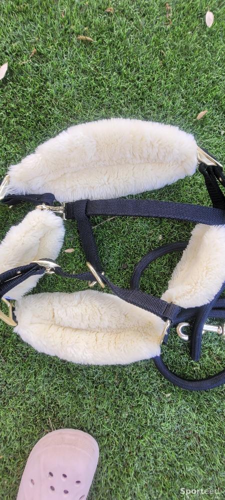 Equitation - Licol et longe kentucky taille Cob - photo 3