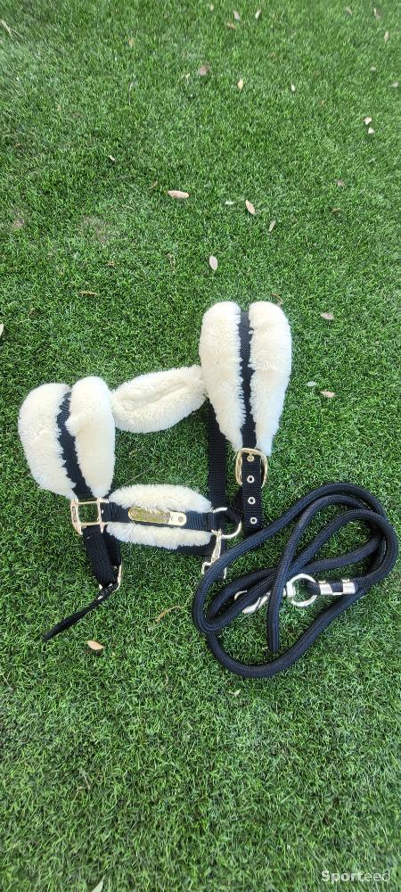 Equitation - Licol et longe kentucky taille Cob - photo 1