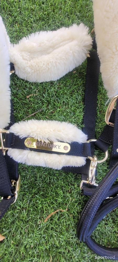 Equitation - Licol et longe kentucky taille Cob - photo 2