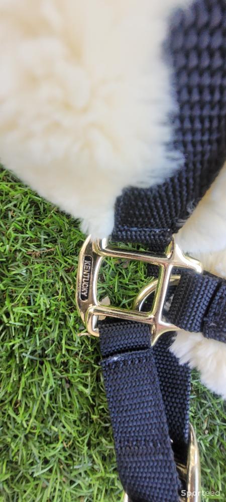 Equitation - Licol et longe kentucky taille Cob - photo 4