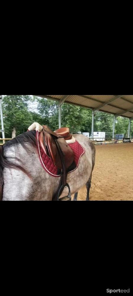 Equitation - Selle mixte - photo 2