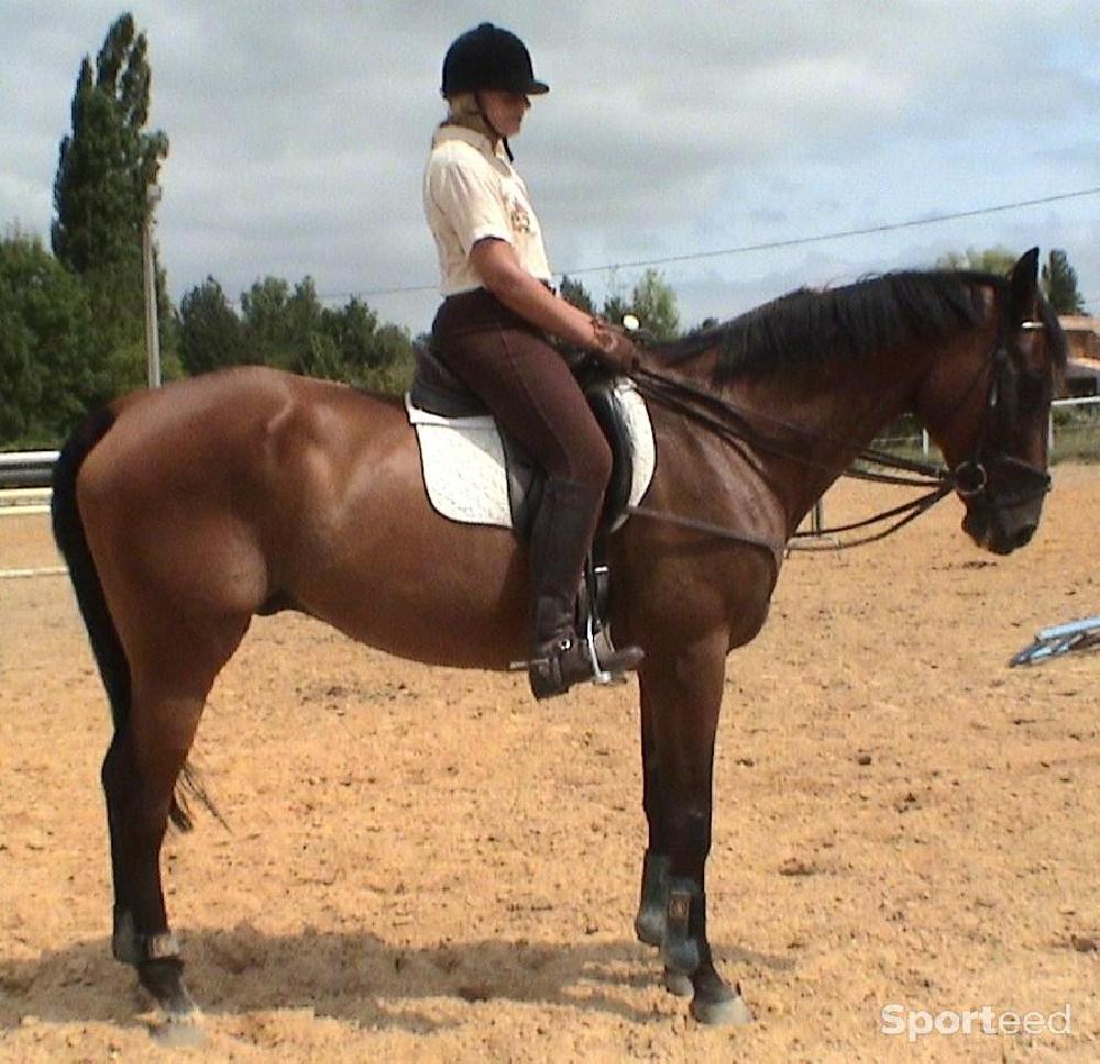 Equitation - Rênes allemandes (coulissantes) en cuir  - photo 5