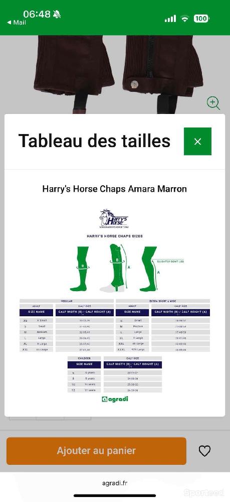 Equitation - Chaps neuves marron Harry’s Horse  - photo 5