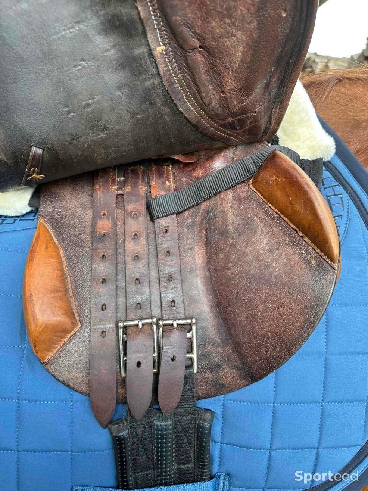 Equitation - Selle d’équitation  - photo 3
