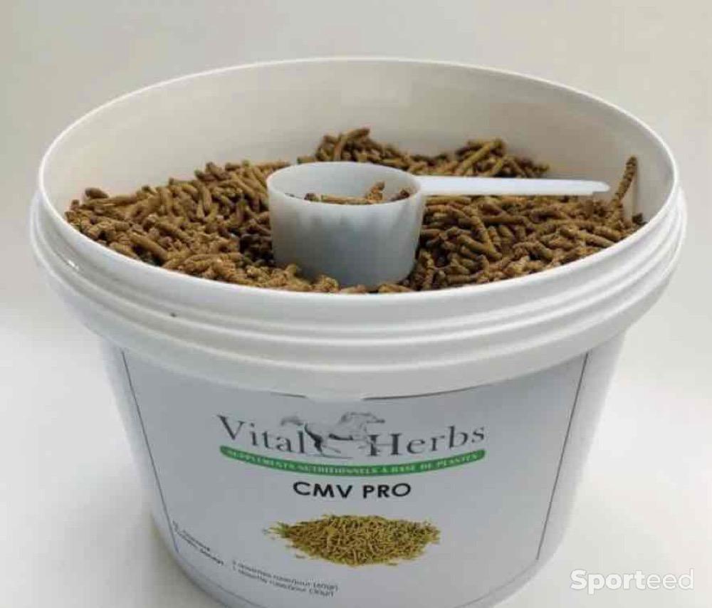 Equitation - CMV pro vital herbs - photo 1