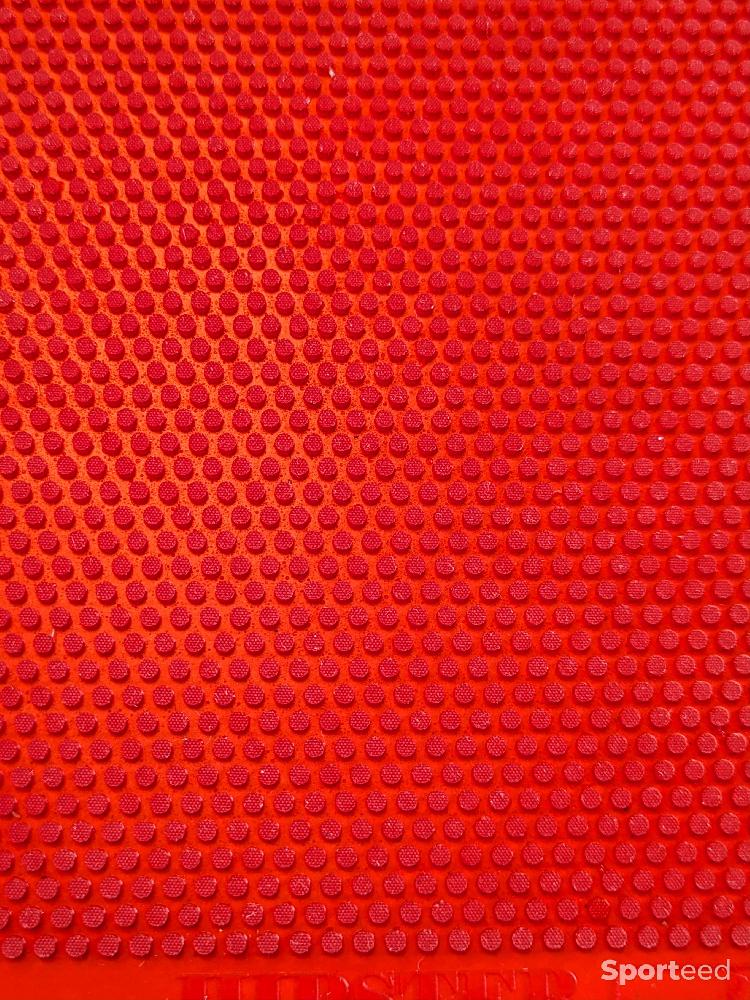 Tennis de table - Sauer & Tröger Hipster rouge 1.5 mm – picot court offensif - photo 3