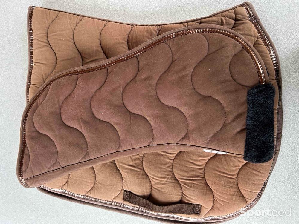 Equitation - Ensemble tapis et amortisseur Equithéme  - photo 1