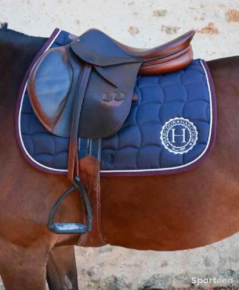 Equitation - Bonnet + tapis Harcour  - photo 3