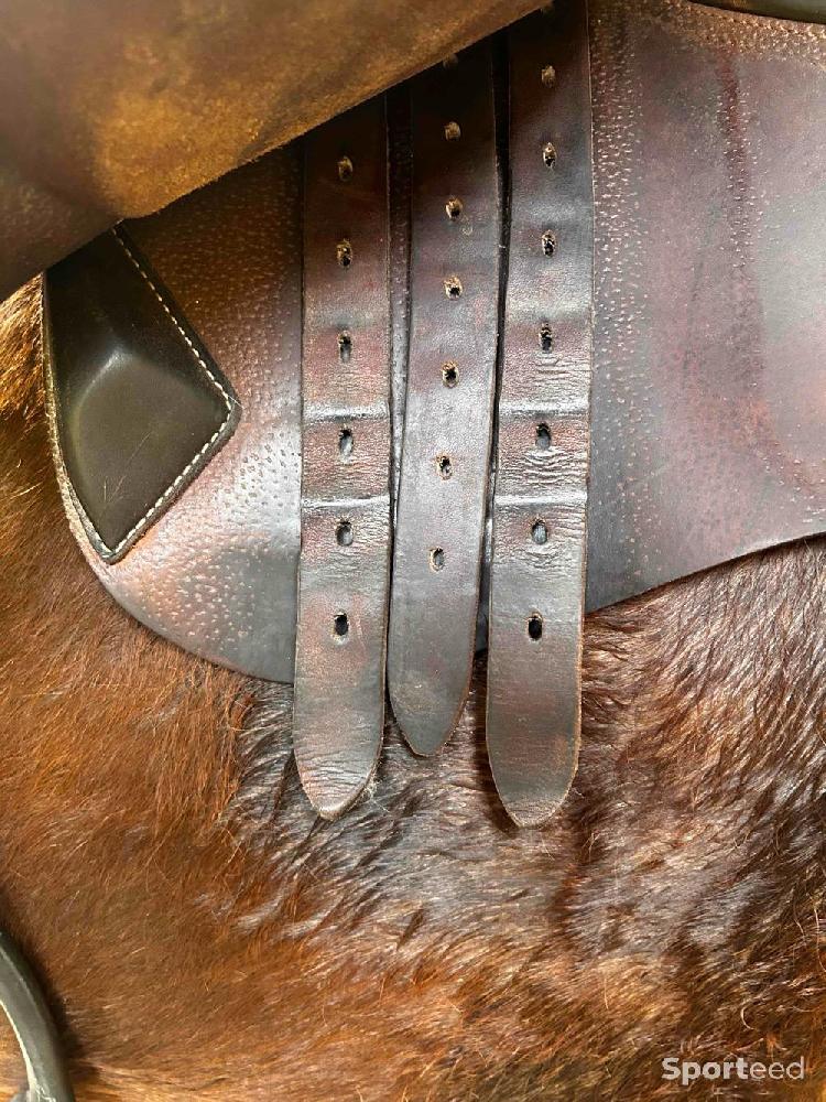 Equitation - Selle okles - photo 4