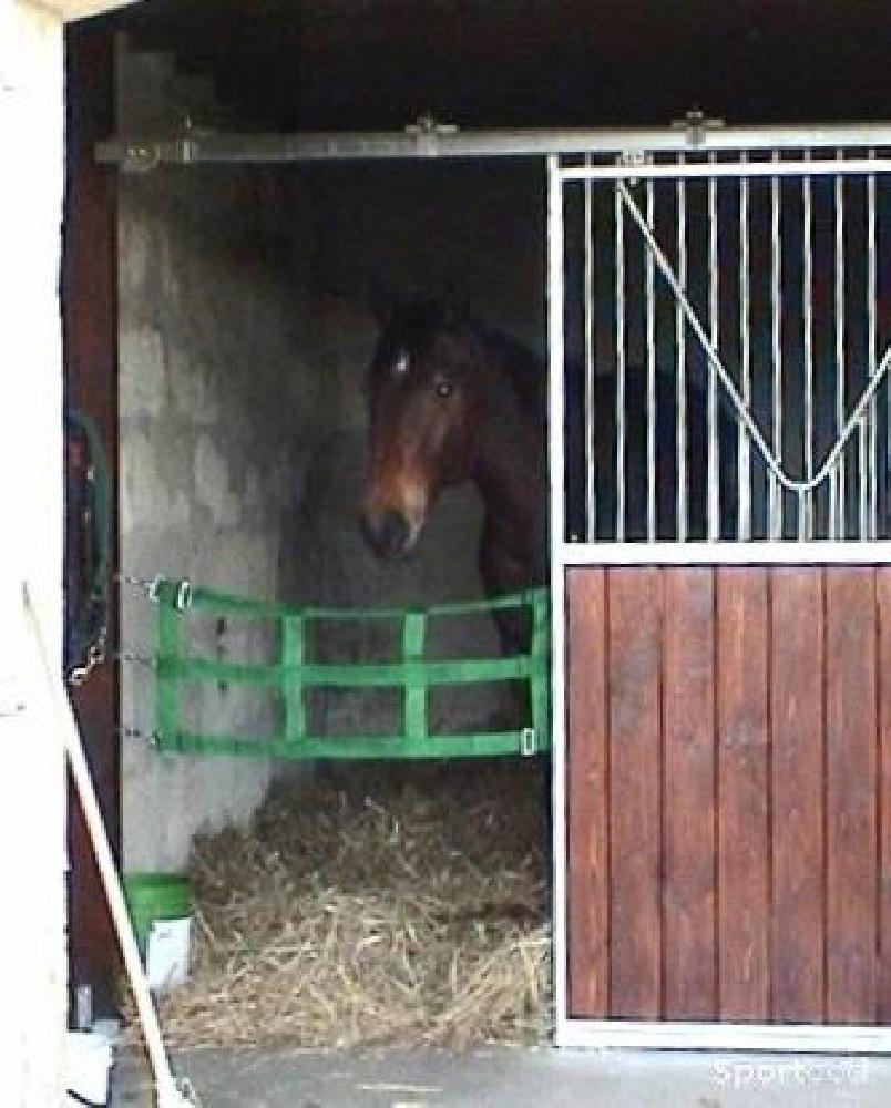 Equitation - Porte de Box Amovible en Polyester - photo 5