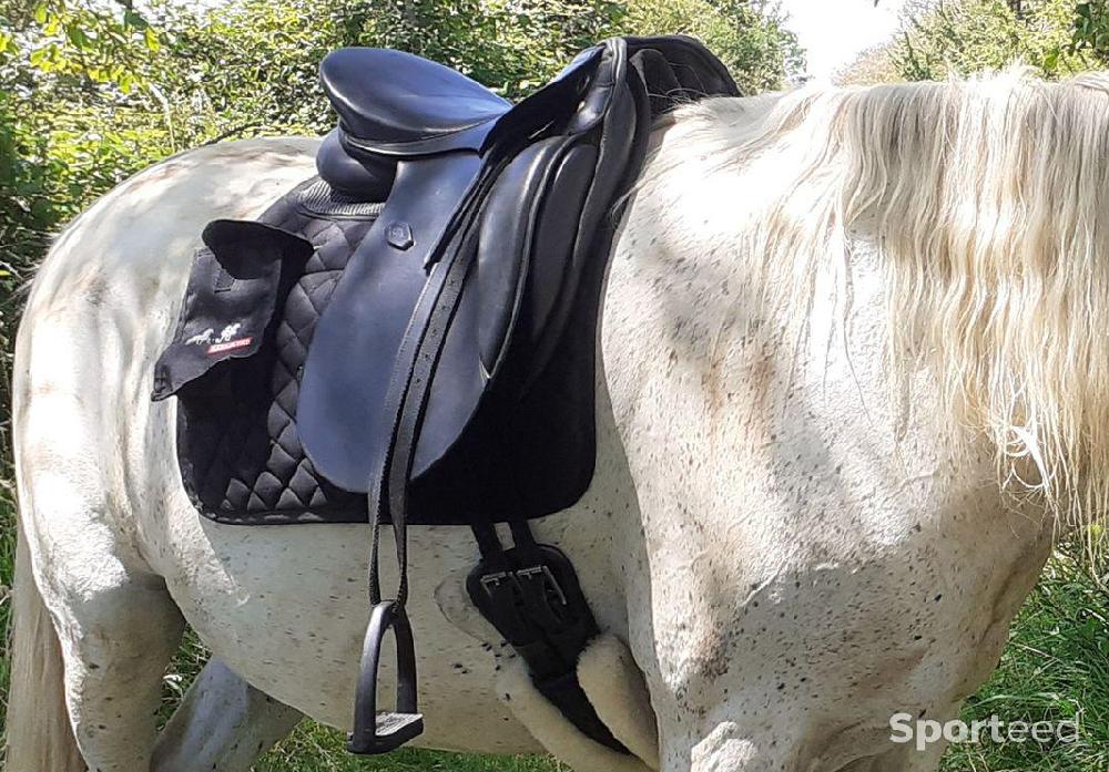 Equitation - Selle de dressage Henri de Rivel 17,5 - photo 2