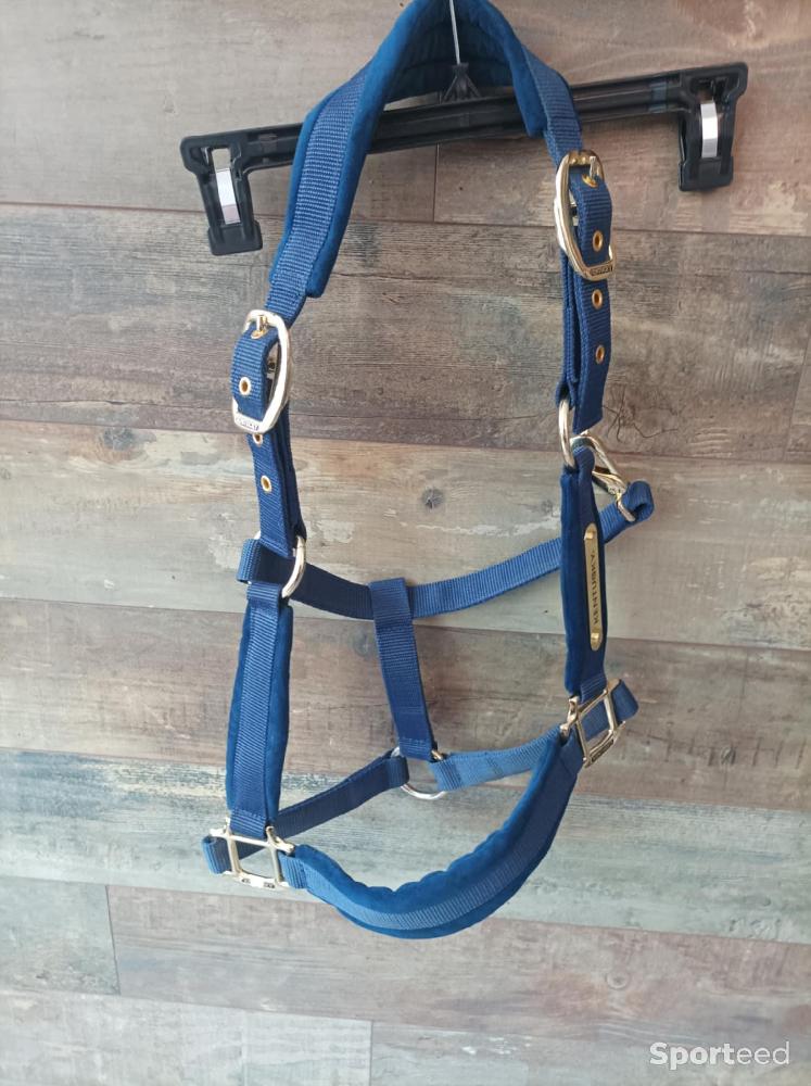 Equitation - Licol kentucky velvet cob - photo 1
