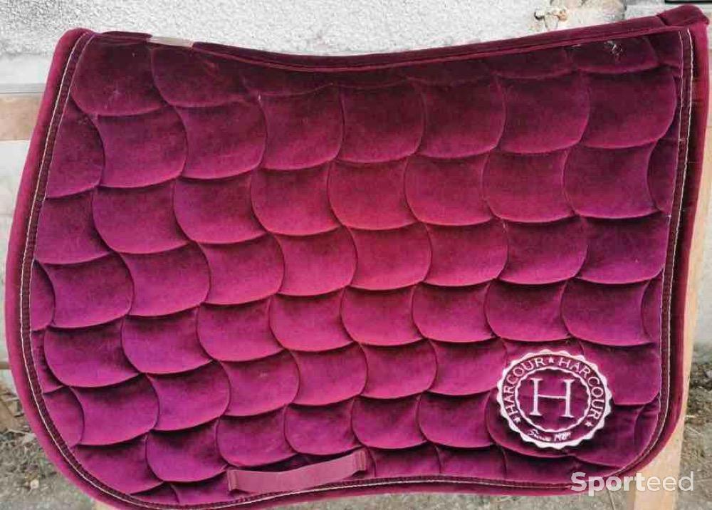 Equitation - Tapis harcour  - photo 1