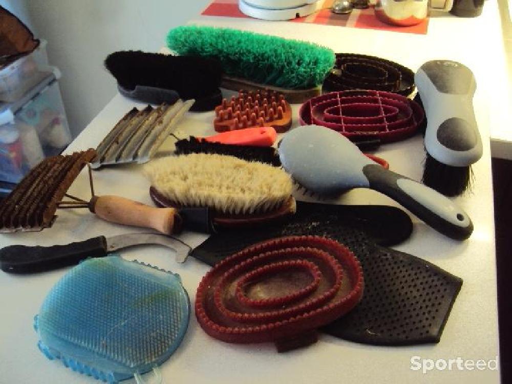 Equitation - lot de brosses - étrilles (plastique et métal) pour chevaux - photo 5