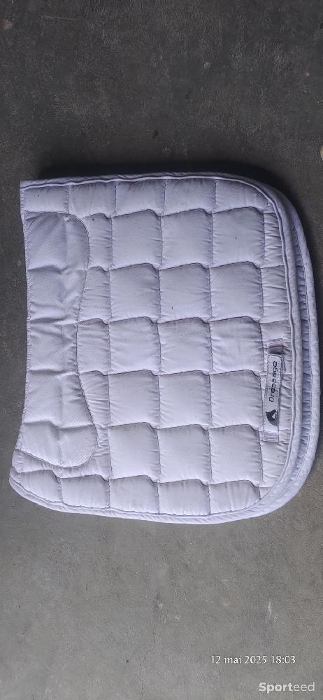 Equitation - Tapis dressage  - photo 1
