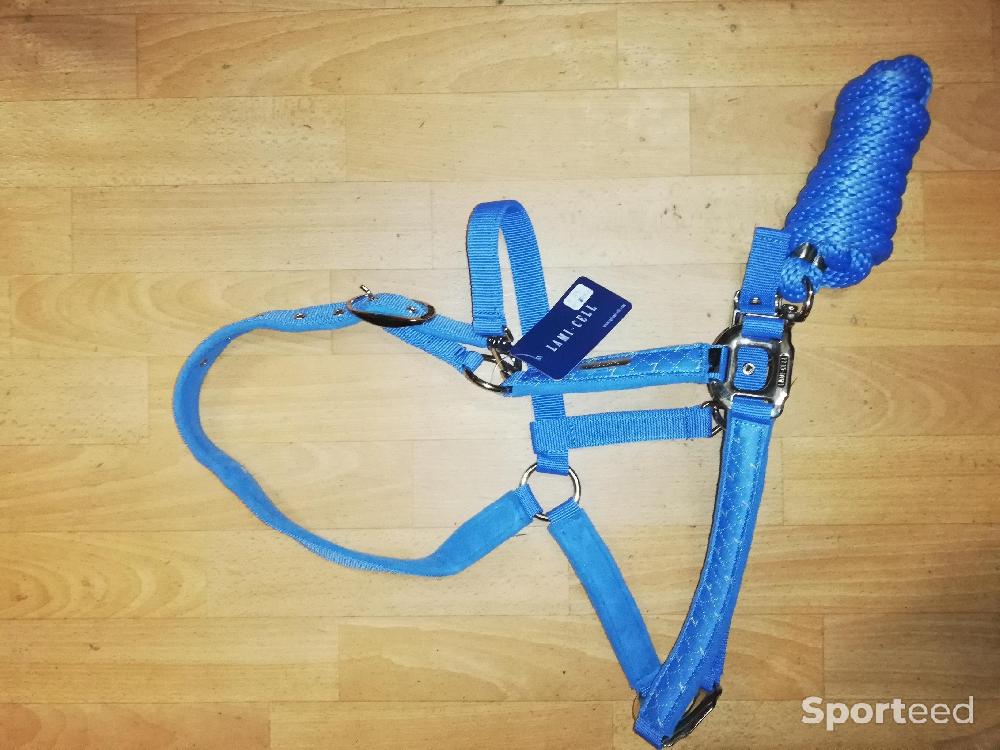 Equitation - Licol + longe lamicell venus bleu ciel cheval	 - photo 1