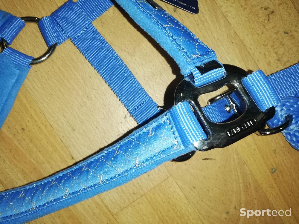 Equitation - Licol + longe lamicell venus bleu ciel cheval	 - photo 3