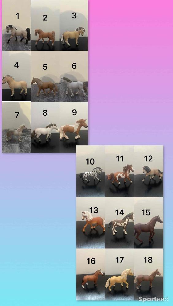 Equitation - Schleichs  - photo 2