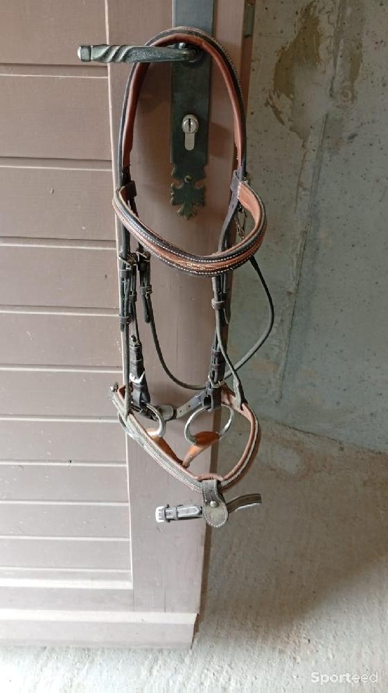 Equitation - Filet cheval équitation marron plus noseband intégré et mors cheval intégré  - photo 1