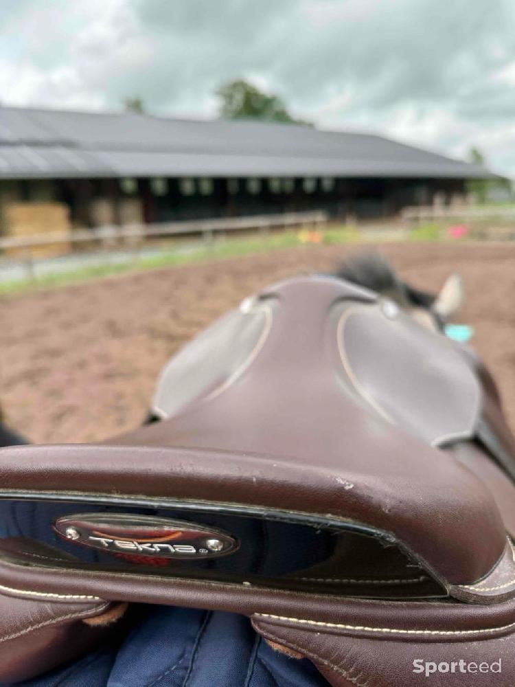 Equitation - Selle Tekna  - photo 5