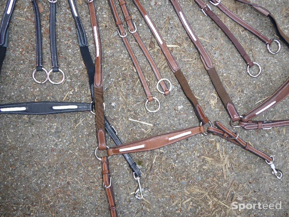Equitation - Collier de chasse poney/cob/cheval neufs - photo 3