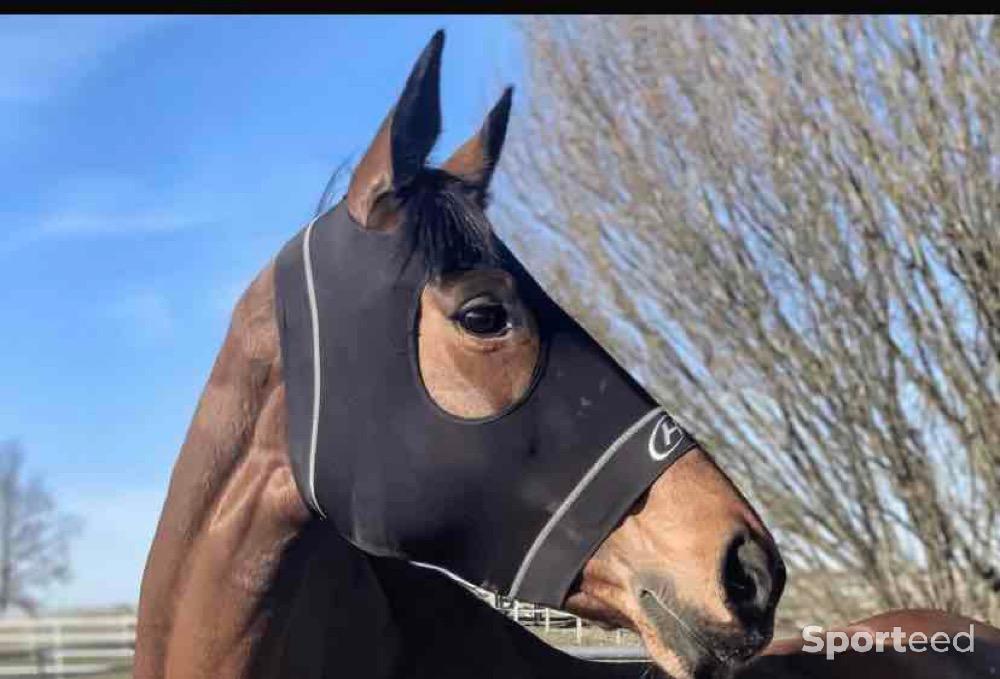 Equitation - Masque compression - photo 1