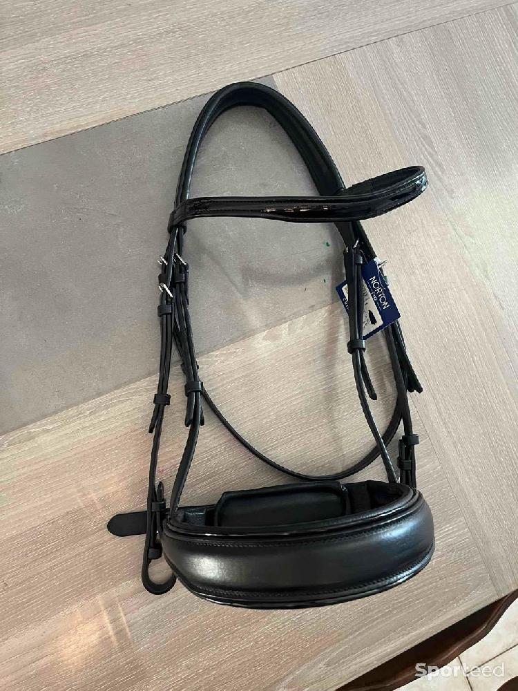 Equitation - Bridon filet Norton PRO CONFORT cheval neuf - photo 1