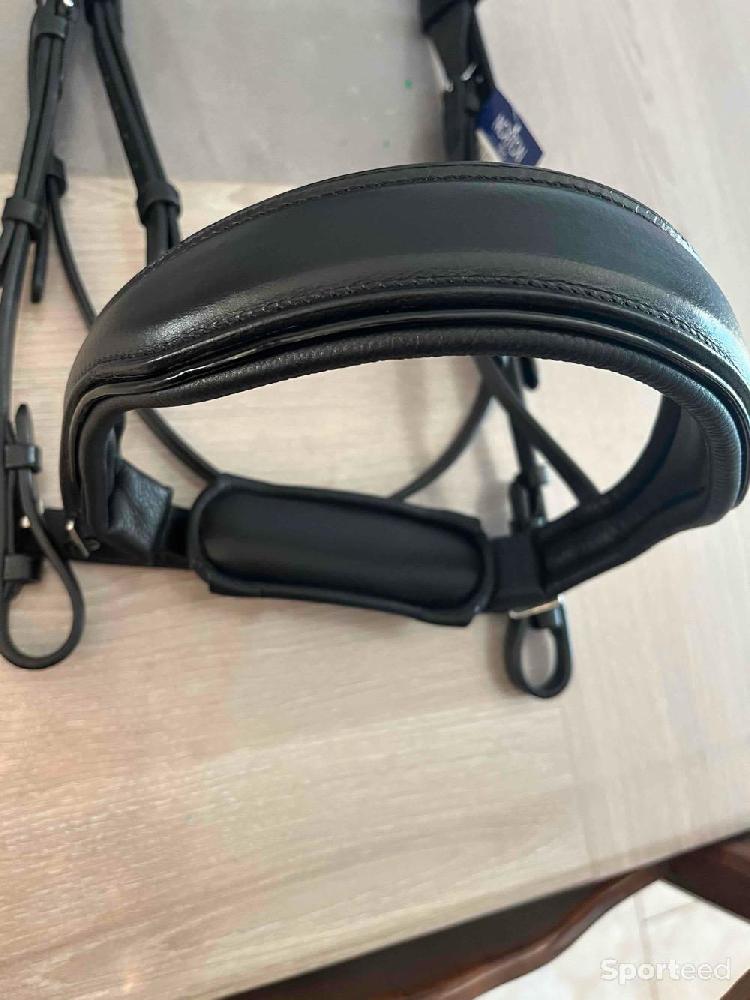 Equitation - Bridon filet Norton PRO CONFORT cheval neuf - photo 2