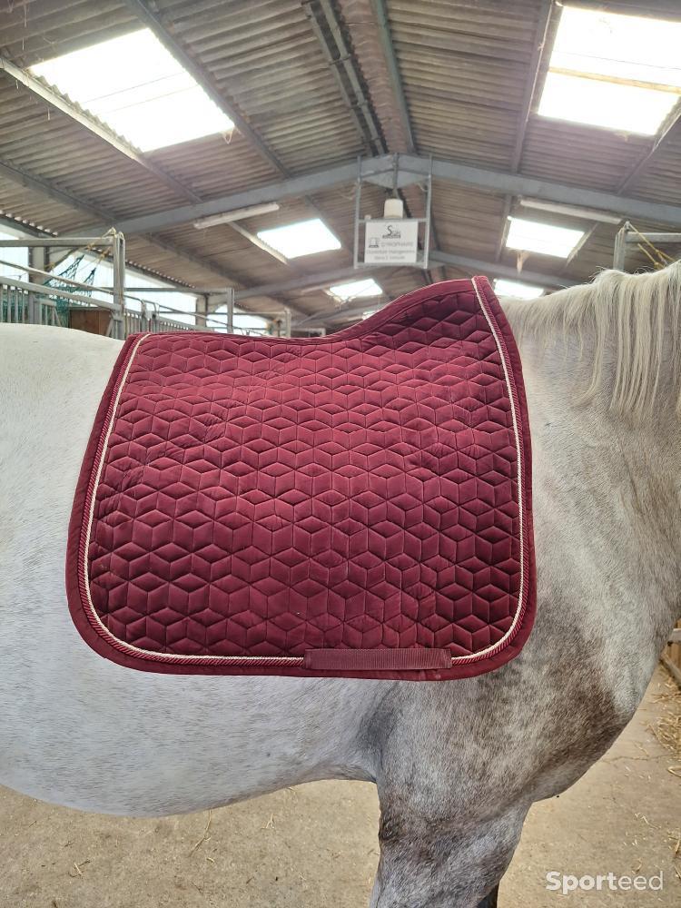 Equitation - Tapis kentucky dressage  - photo 2