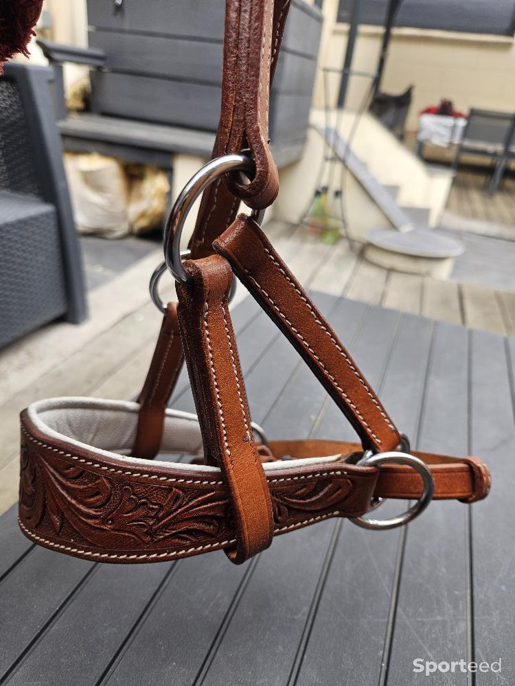 Equitation - Muserolle side pull cuir Artisanale dessinée  - photo 1