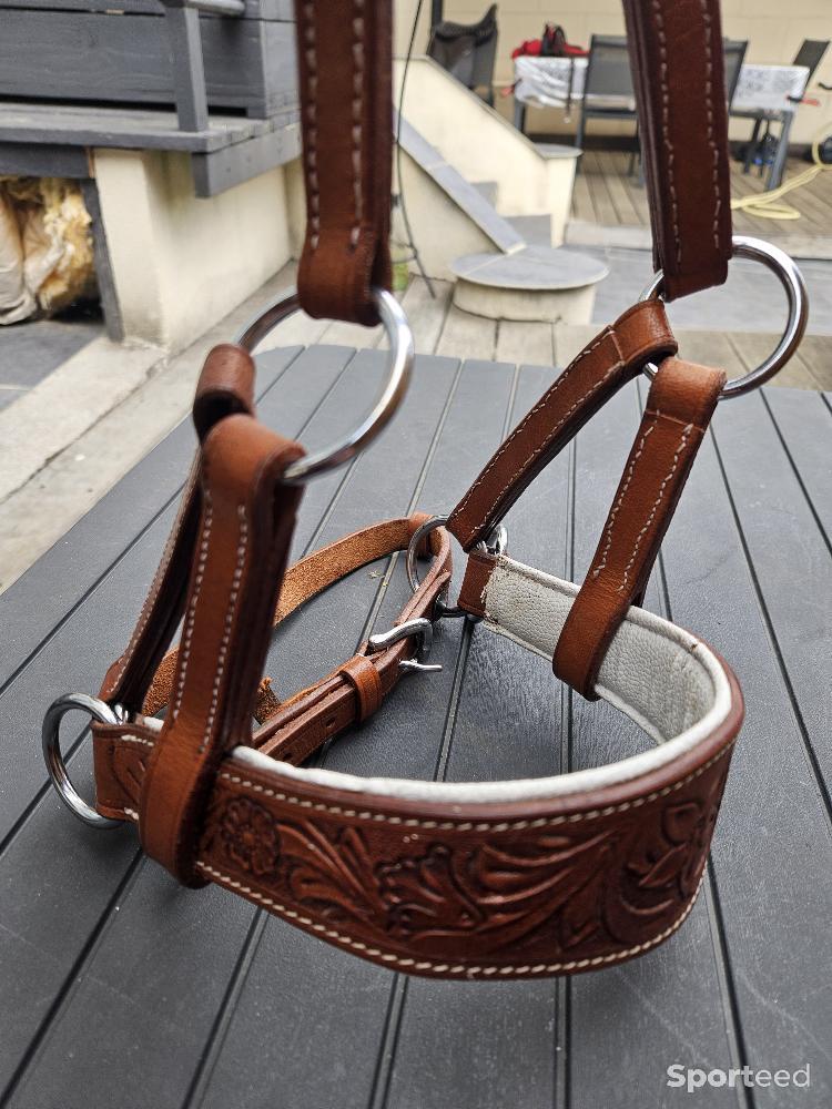 Equitation - Muserolle side pull cuir Artisanale dessinée  - photo 2