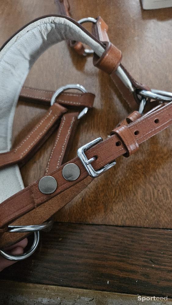 Equitation - Muserolle side pull cuir Artisanale dessinée  - photo 3