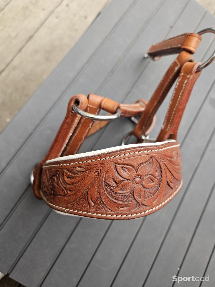 Equitation - Muserolle side pull cuir Artisanale dessinée  - photo 4