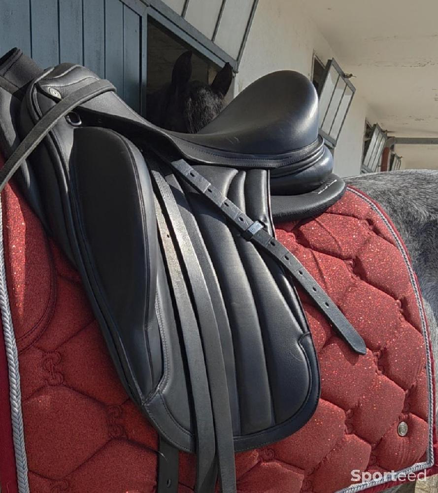 Equitation - Amortisseur tout en 1 Lami Cell - photo 1