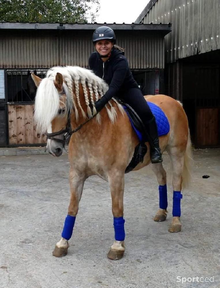 Equitation - Ensemble bleu roi - photo 1