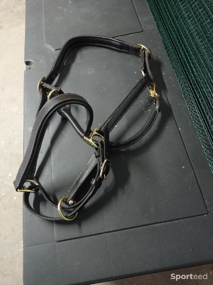 Equitation - Licol cuir noir  - photo 5