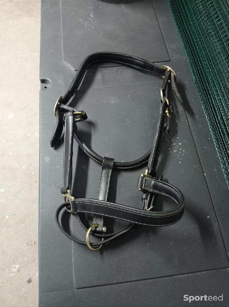 Equitation - Licol cuir noir  - photo 4
