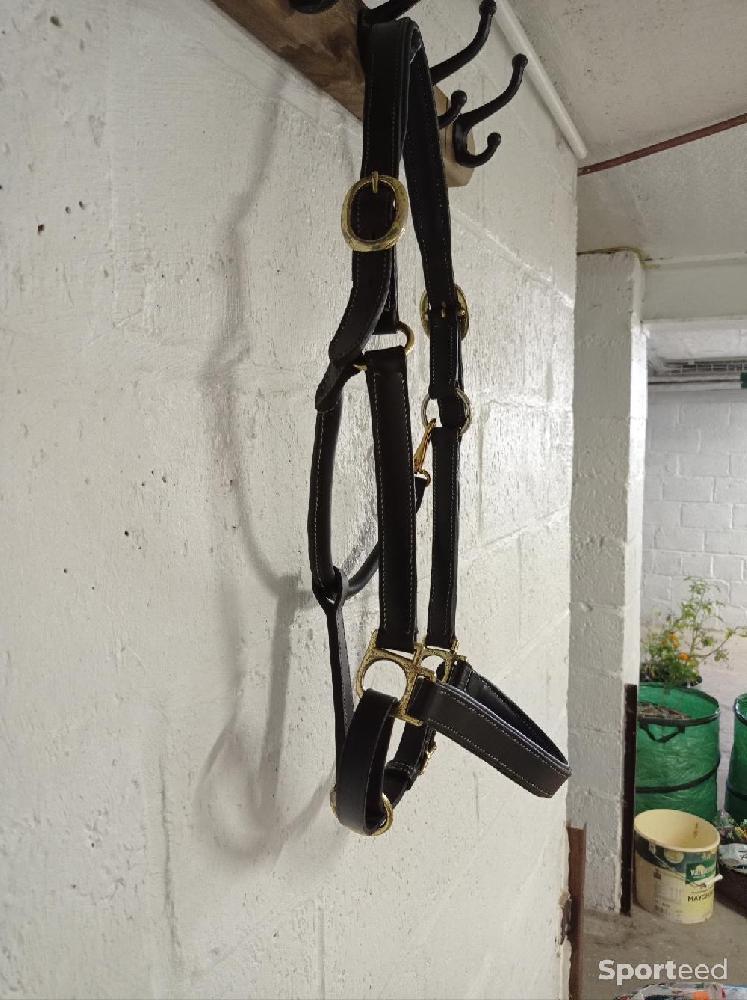 Equitation - Licol cuir noir  - photo 2