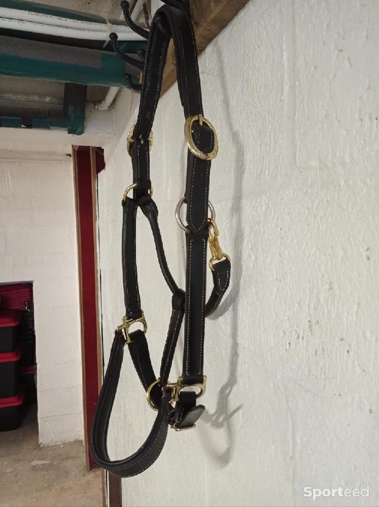 Equitation - Licol cuir noir  - photo 3